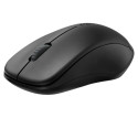 Rapoo 1680 Silent mouse Ambidestro RF Wireless Ottico 1000 DPI