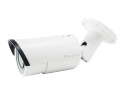 LevelOne FCS-5060 telecamera di sorveglianza Capocorda Telecamera di sicurezza IP Interno e esterno 1920 x 1080 Pixel Soffitto/muro