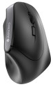 CHERRY MW 4500 mouse Mano destra RF Wireless Ottico 1200 DPI