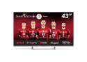 Smart-Tech 43QA20V3 TV 109,2 cm (43") 4K Ultra HD Smart TV Wi-Fi Argento