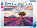 Ravensburger 16724 puzzle 1000 pz Landscape