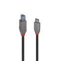 Lindy 36666 cavo USB 1 m USB 3.2 Gen 1 (3.1 Gen 1) USB C USB B Nero