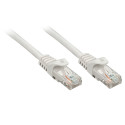 Lindy Rj45/Rj45 Cat6 0.3m cavo di rete Grigio 0,3 m U/UTP (UTP)