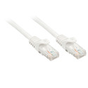 Lindy Rj45/Rj45 Cat6 0.5m cavo di rete Bianco 0,5 m U/UTP (UTP)