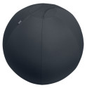 Leitz Active Sitzball 55cm Grigio Interno Sfera