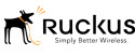 RUCKUS Networks BR-ICX-7150-210U410R-P-01 licenza per software/aggiornamento 1 licenza/e