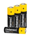 Intenso 7501424 batteria per uso domestico Batteria monouso Stilo AA Alcalino