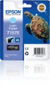 Epson Turtle Cartuccia Ciano chiaro