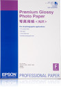 Epson Premium Glossy Photo Paper