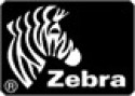 Zebra Z6M+ Printhead testina stampante