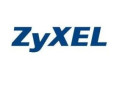 Zyxel LIC-GOLD-ZZ0001F licenza per software/aggiornamento 1 licenza/e 1 anno/i