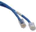 Panduit NetKey, Cat6, 10m cavo di rete Blu U/UTP (UTP)