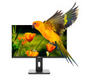 Nilox NXM24REG02 Monitor PC 61 cm (24") 1920 x 1080 Pixel Full HD LED Nero