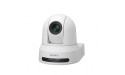 Sony SRG-X40UH Cupola Telecamera di sicurezza IP Interno 3840 x 2160 Pixel Soffitto/muro