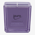 ipuro ESSENTIALS lavender touch candela di cera Quadrato Agrume, Fiore, Lavanda, Menta, Muschio Lavanda